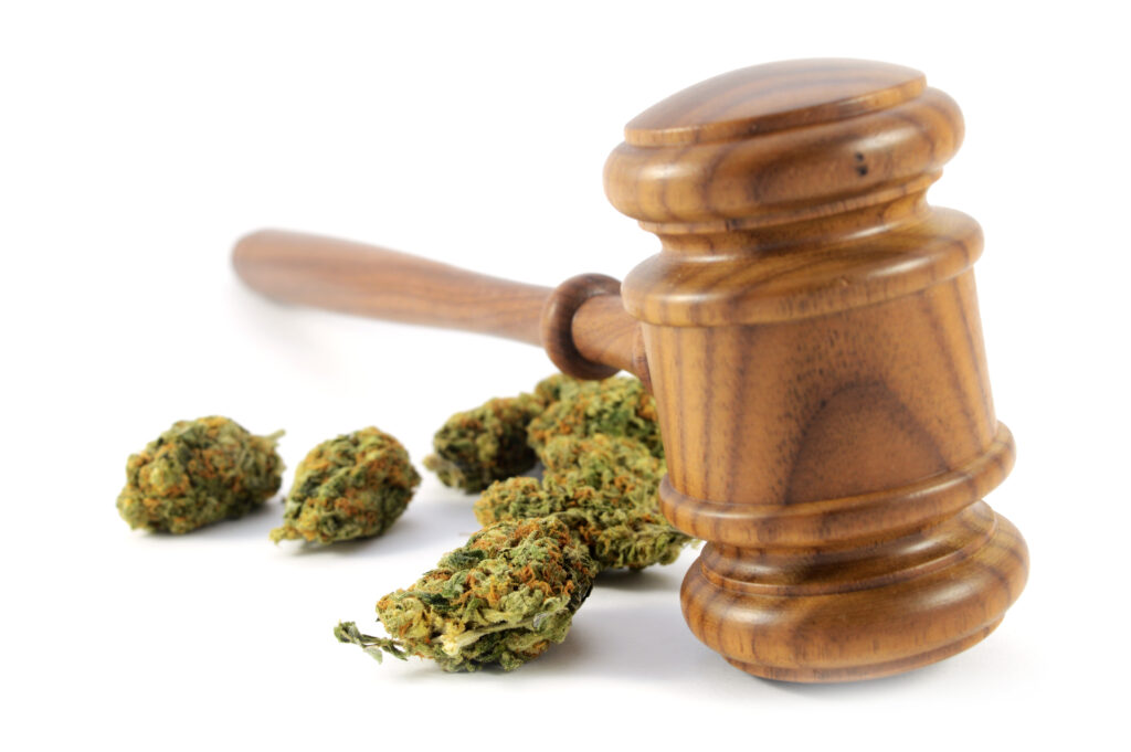 The Law and Cannabis | ePropel 