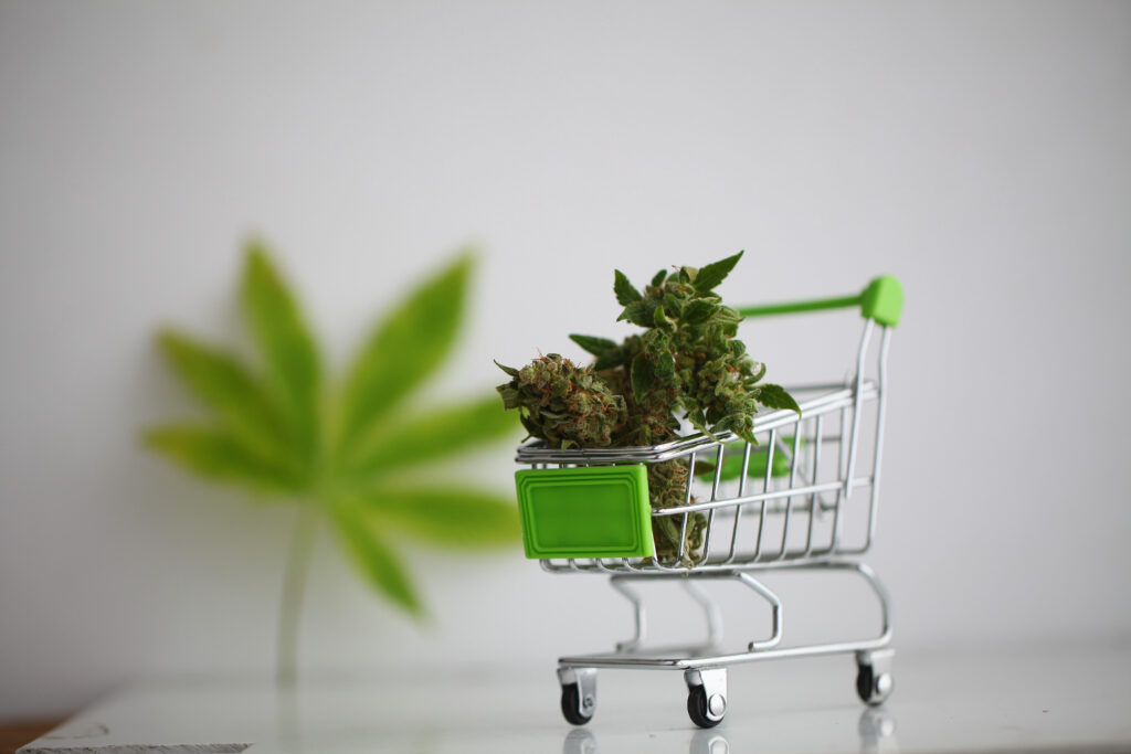 Why is the Google Local Pack Important For Dispensary SEO? | ePropel Digital "